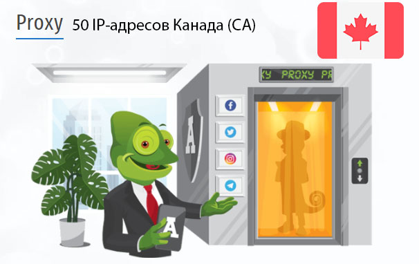 50 прокси оптом Canada (ca) Стоимость 50 пакетных прокси Канада (CA)